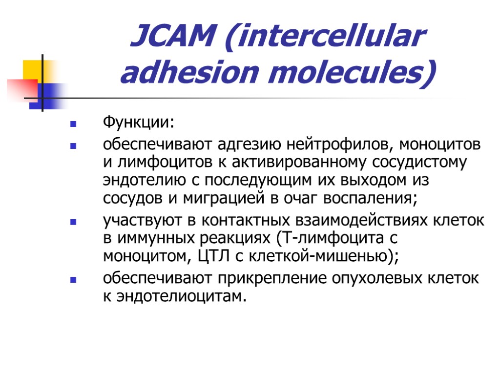 JCAM (intercellular adhesion molecules) Функции: обеспечивают адгезию нейтрофилов, моноцитов и лимфоцитов к активированному сосудистому